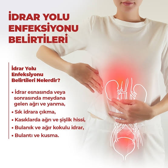 Hizmet Galerisi