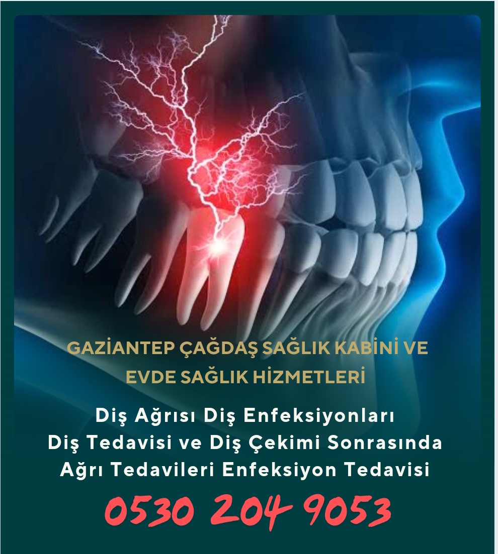 Hizmet Galerisi